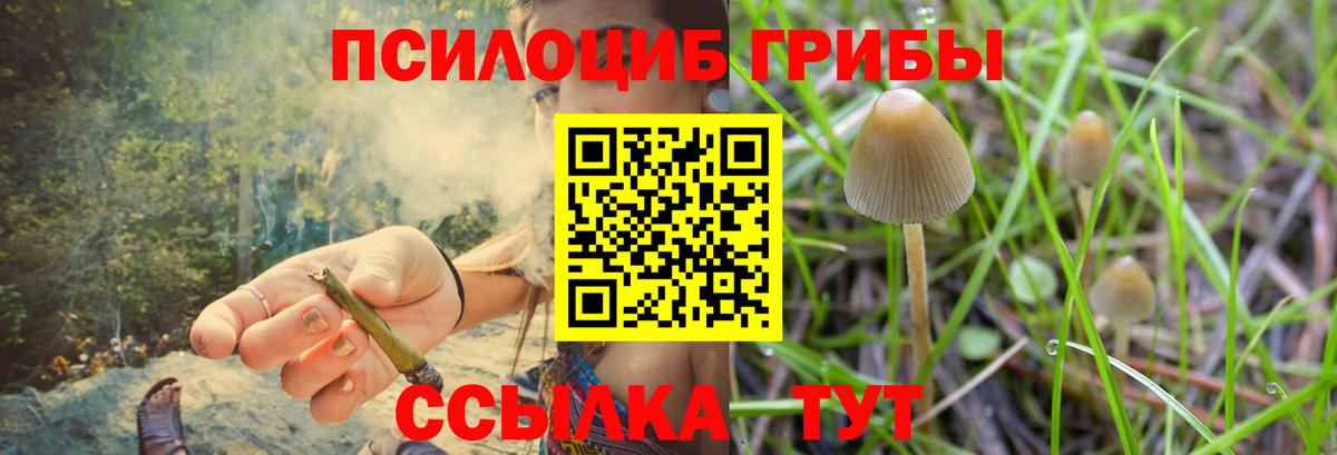 Галлюциногенные грибы GOLDEN TEACHER Усть-Джегута